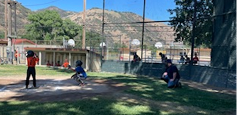 Volunteer to umpire!